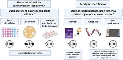 Challenges in Microfluidic and Point-of-Care Phenotypic Antimicrobial Resistance Tests